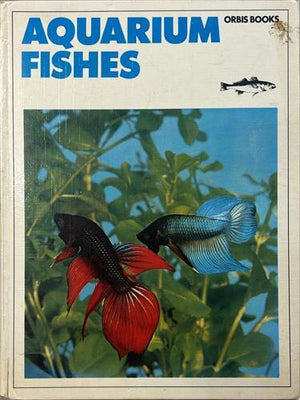 bookworms_Aquarium Fishes_Elso Lodi