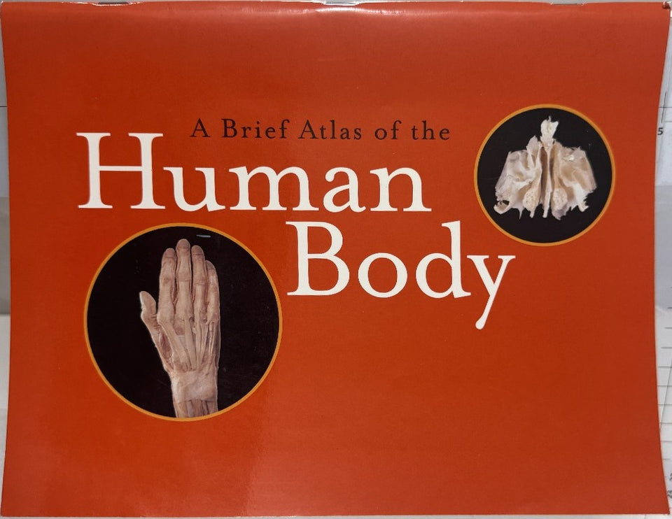 A Brief Atlas of the Human Body — front cover