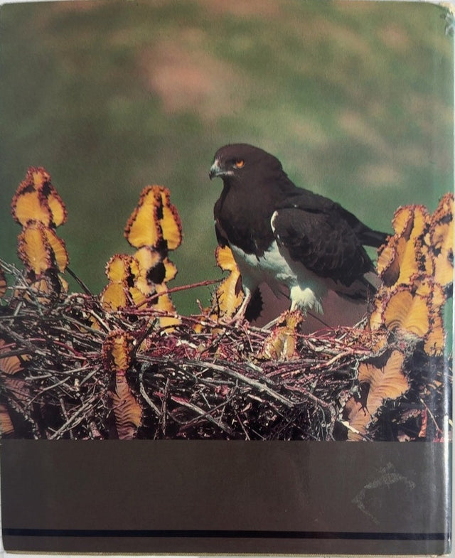 Eagle Days - By Peter Steyn - back cover