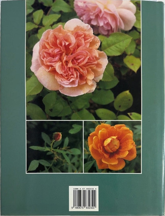A Celebration of Old Roses - By Trevor Griffiths - back cover