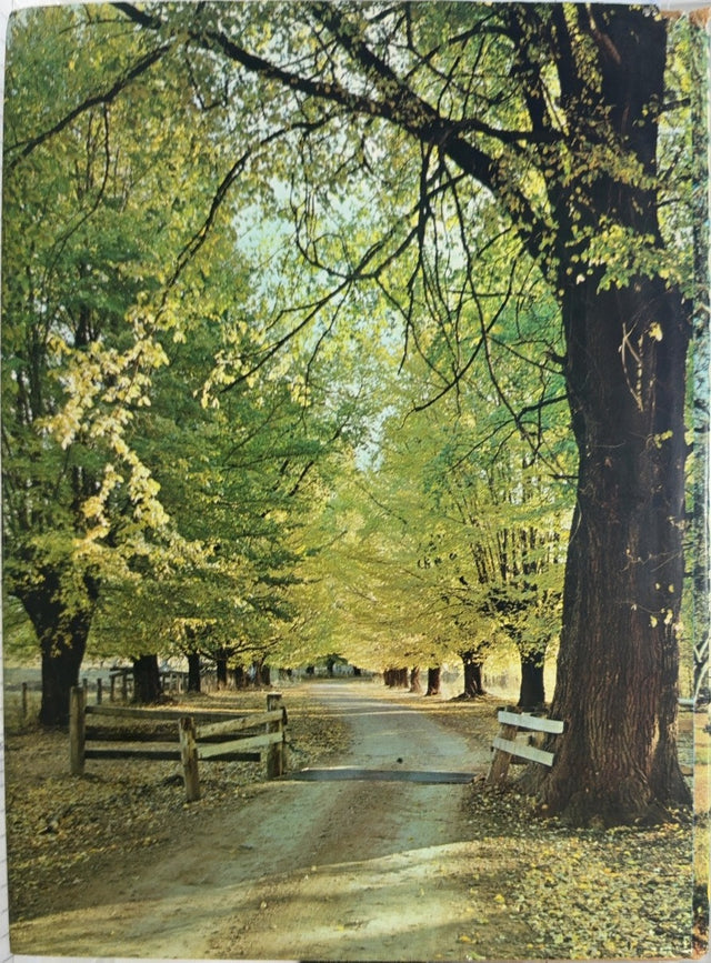 The Beauty of Australia - By Robin Smith & others - back cover