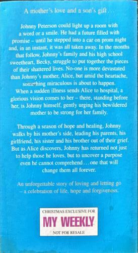 Johnny Angel_Danielle Steel