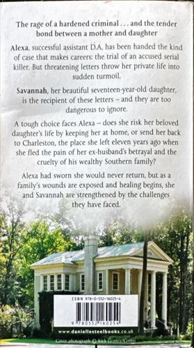 Southern Lights_Danielle Steel