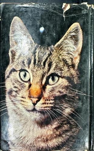 The Treasury of Cats_Christine Metcalf, Grace Pond, Various contributors