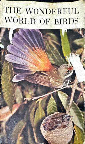 The Wonderful World of Birds_author unknown