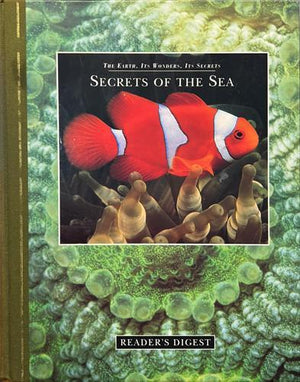 bookworms_Secrets of the Sea_Linda Gamlin