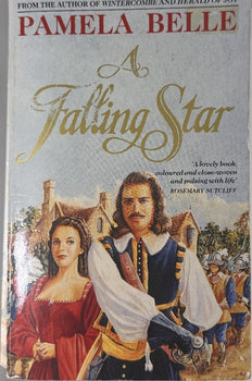 A Falling Star