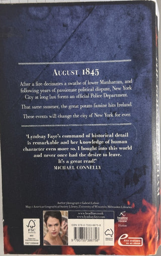 The Gods of Gotham — back cover