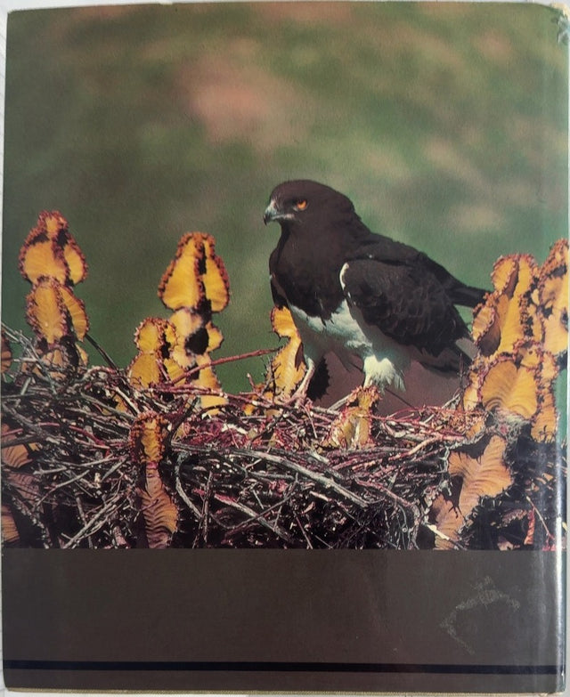 Eagle Days - By Peter Steyn - back cover