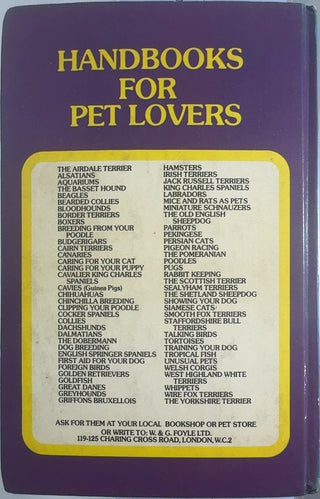 Persian Cats — back cover
