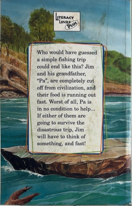 Destination Disaster - By Fleur Beale - back cover