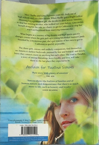 Road to Paradise - By Paullina Simons — back cover