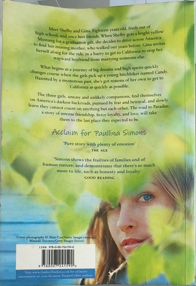 Road to Paradise - By Paullina Simons - back cover