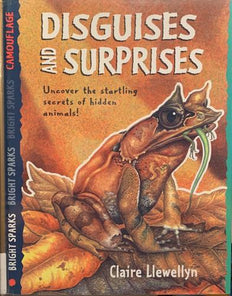 Disguises and Surprises