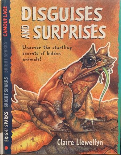 Disguises and Surprises