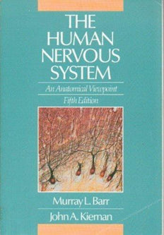 The Human Nervous System