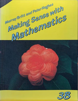 Making Sense with Mathematics — additional photo