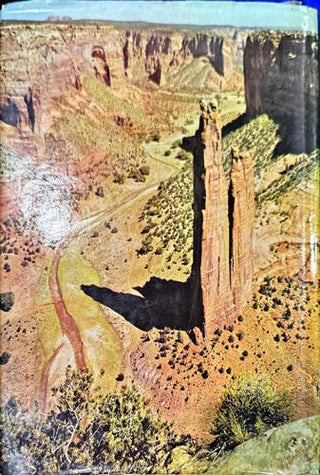 The NEW Encyclopedia of the WORLD — back cover
