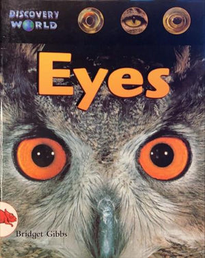 bookworms_Eyes_Bridget Gibbs