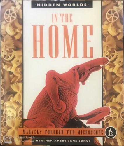 In the Home - By Heather Amery , Jane Songi