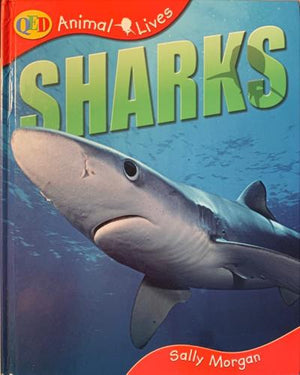 bookworms_Sharks_Sally Morgan