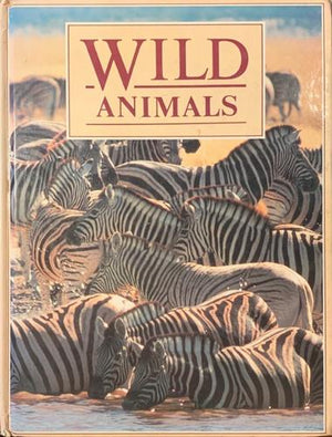 bookworms_Wild Animals_Anna Sproule